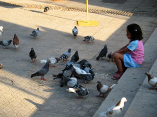 Marbella - feed the birds