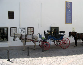 Horse and buggy by Bull fighting arena